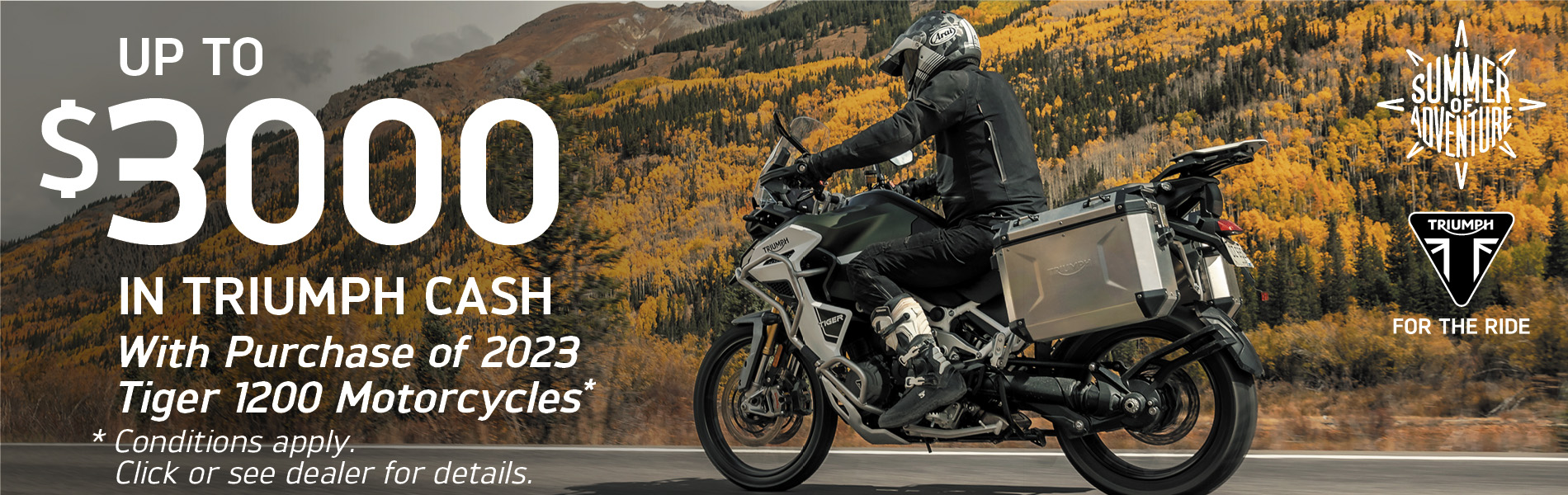 4triumph Promotions Ca Rallye Motoplex Dieppe New Brunswick